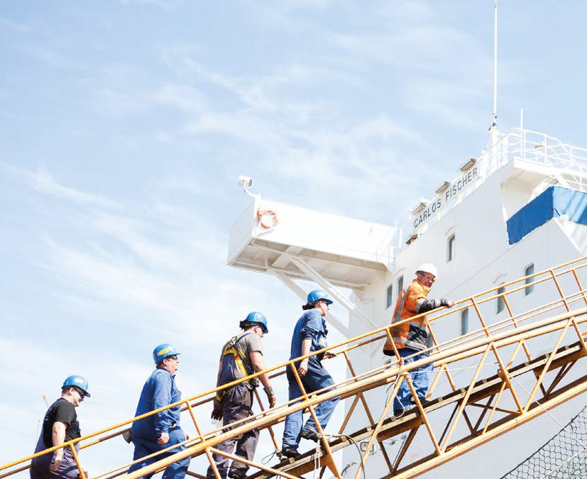 Jahresbericht 2015-2016