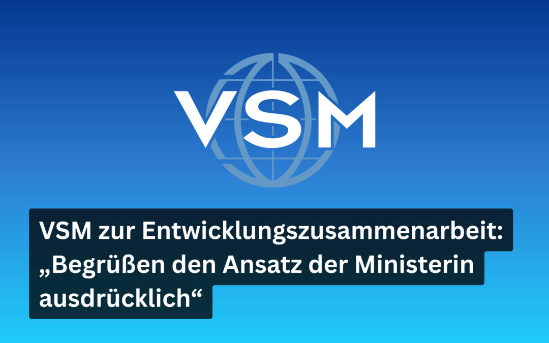 VSM zur Entwicklungszusammenarbeit
